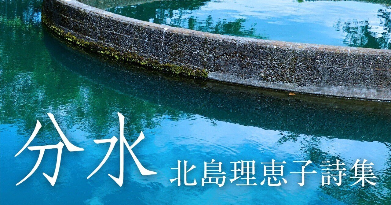 北島理恵子『分水』～詩人会議新人賞2024・審査員のすごい詩集（2