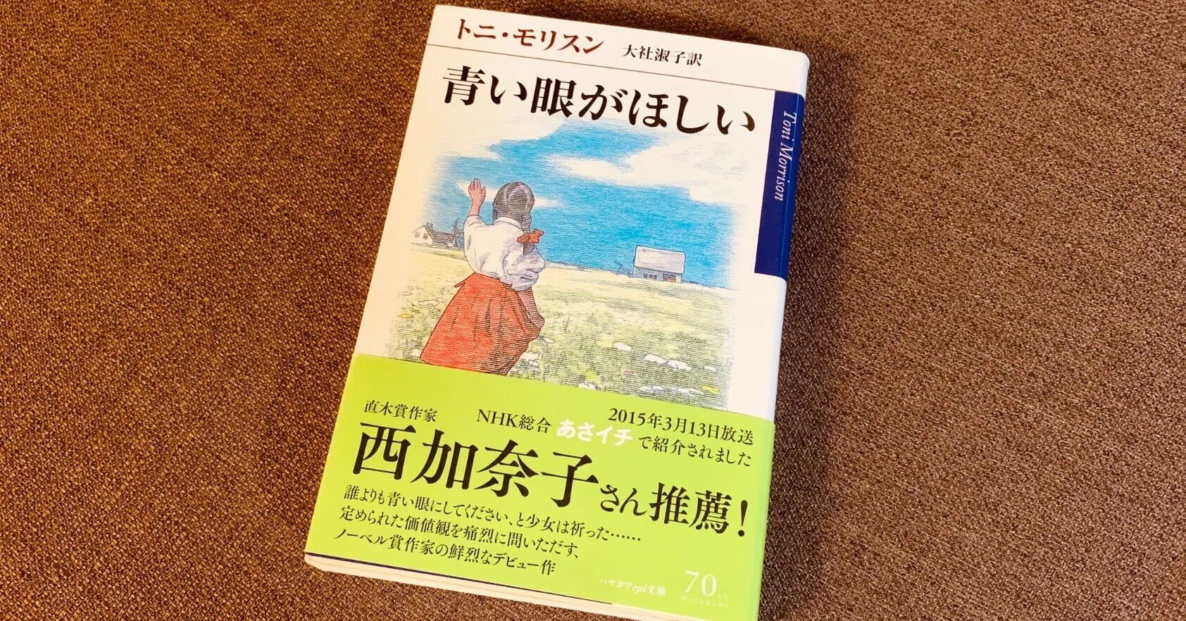 読書録『青い眼がほしい』トニ・モリスン｜サザヱ