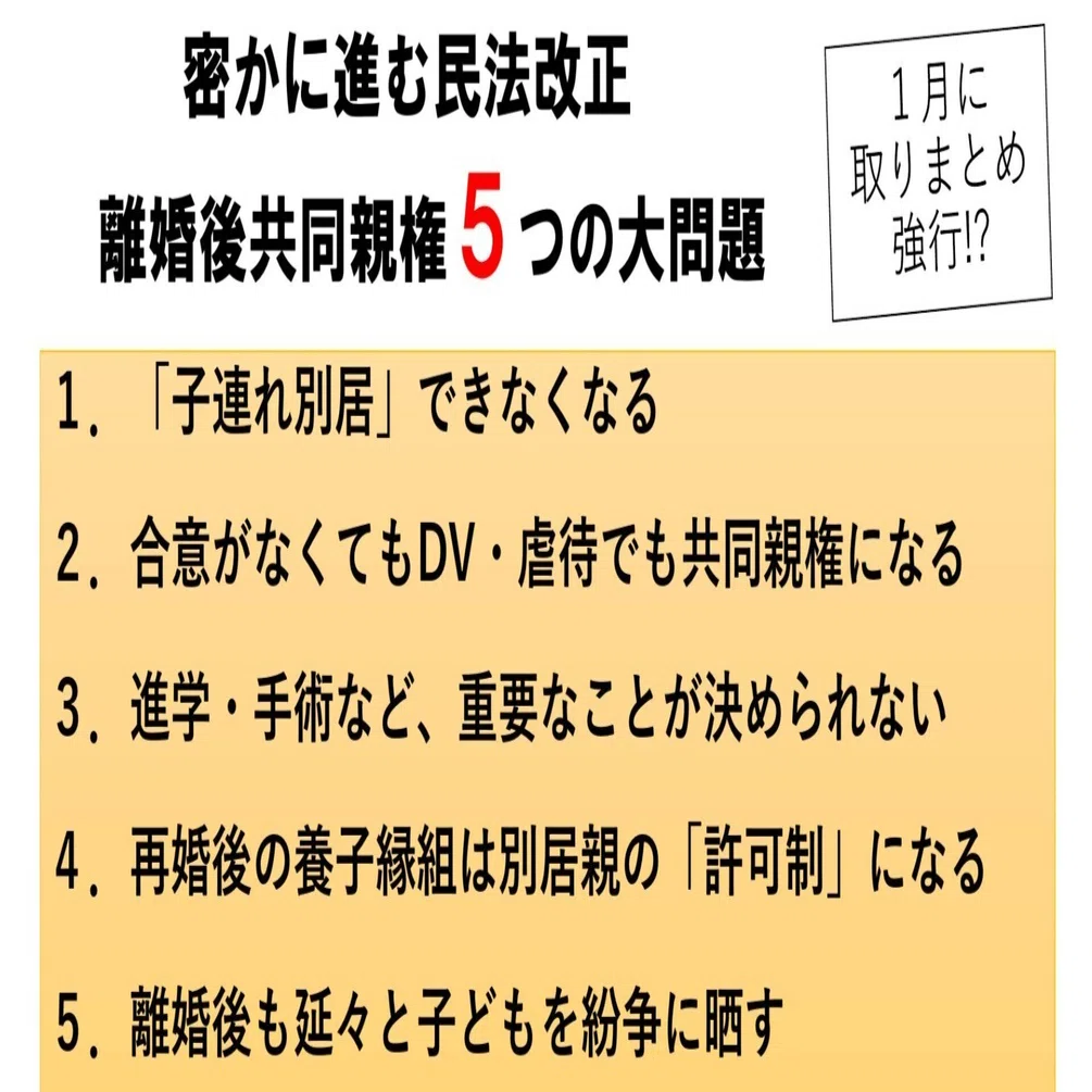 密かに進む民法改正 離婚後共同親権5つの大問題｜ありしん@共同親権 