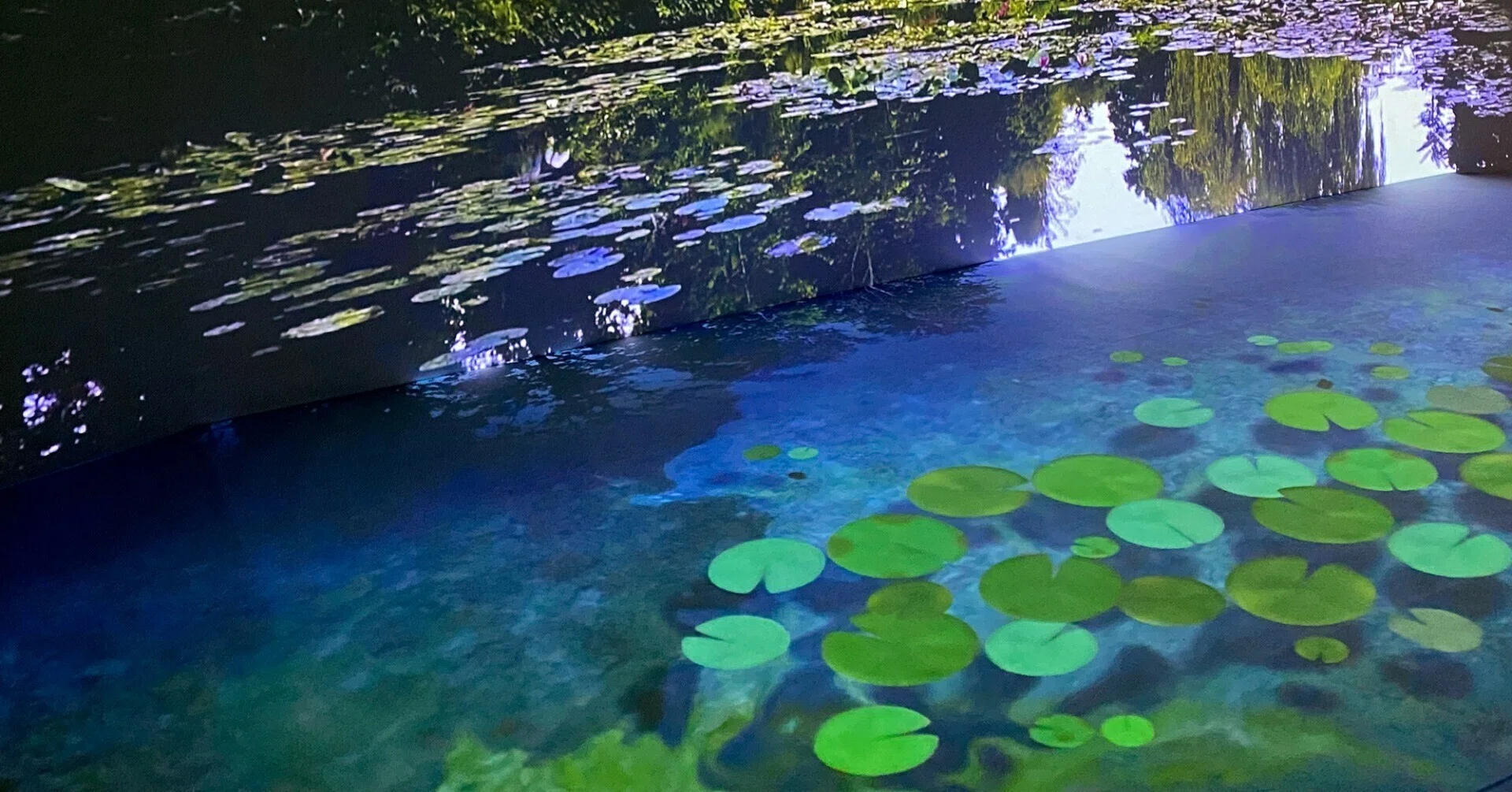 パティンソン 絵画 魅惑 の奏で 73/100 ポチャ、ニュプ、パリッ「睡蓮の池」を体感しながら『モネ 連作の情景