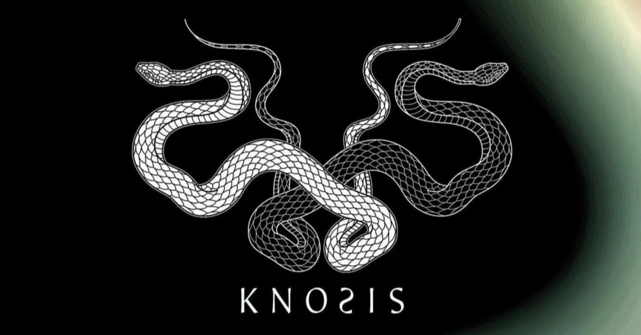 Artist Info】Knosis -究極の音楽体験-｜PM28 Works