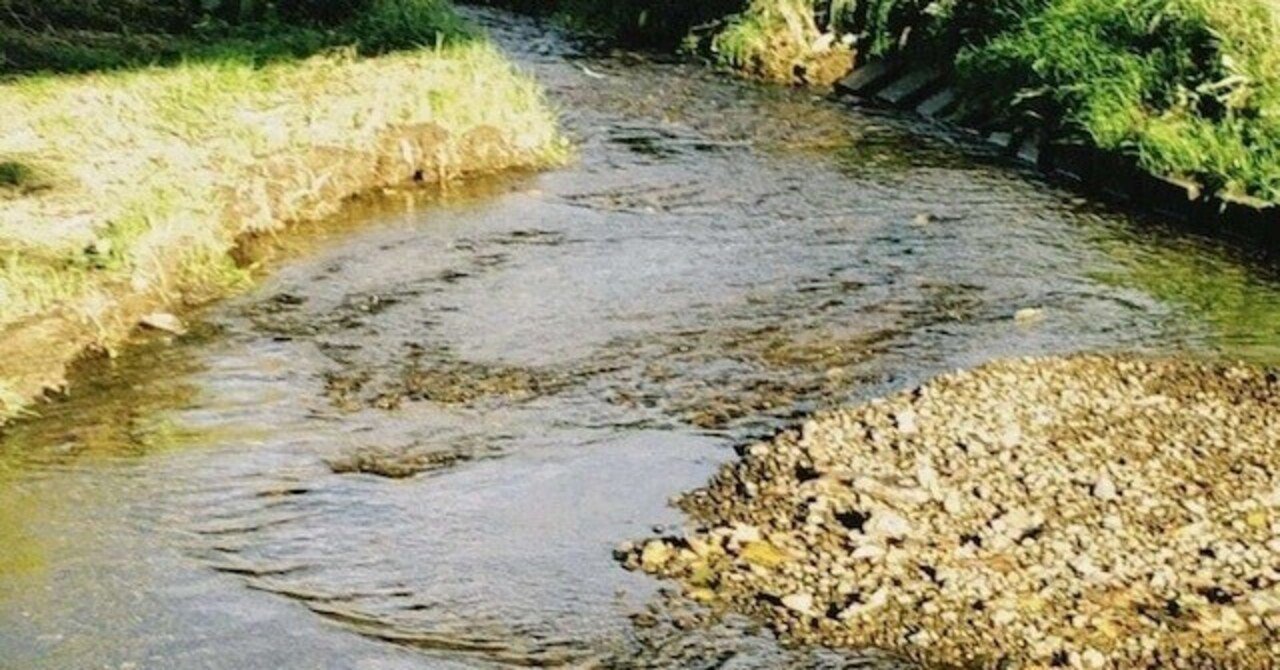 2023年 国内インディーズ 聴いてよかったアルバム/EP 10選｜Yuki Yoshida