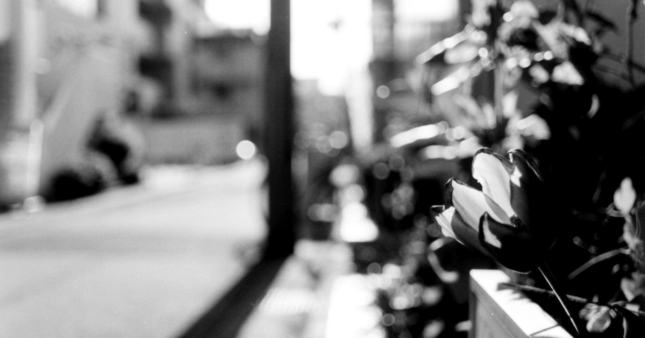 虚勢と本心の割合｜金指 歩（ライター・編集者）