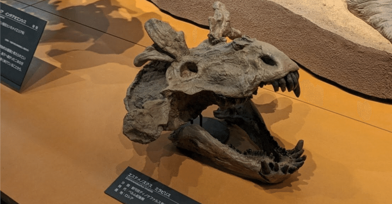 哺乳類型爬虫類―ヒトの知られざる祖先