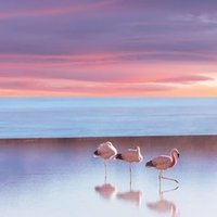 つるぎのかなた卒業証書 メインキャラ 藤宮高校編 ミズナリ氏 Note