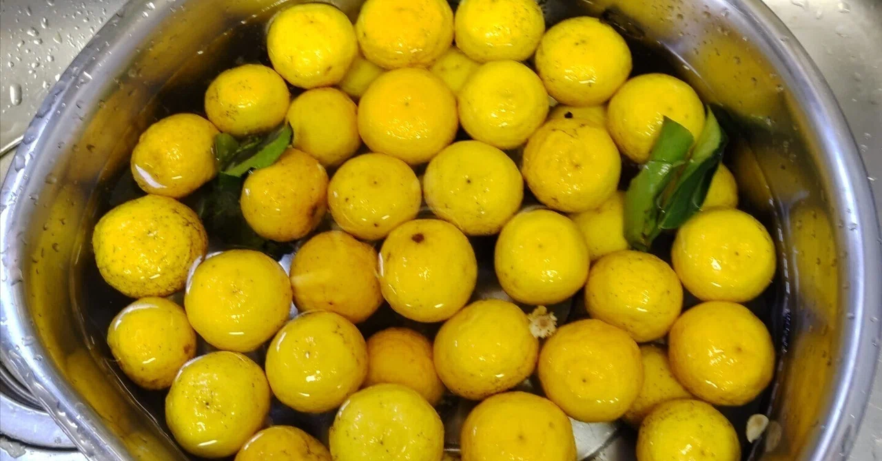 Yuzu after the winter solstice 🍊 Don't let the quantity defeat you｜いふ！