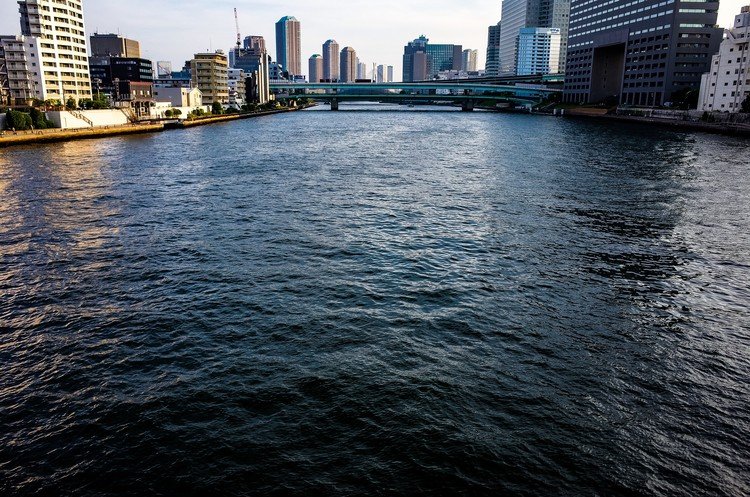 Sumida-gawa River, Tokyo.