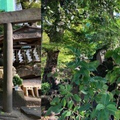 7．キリンの仔（淀井敏夫）｜前田 とまき （TOMAKI）