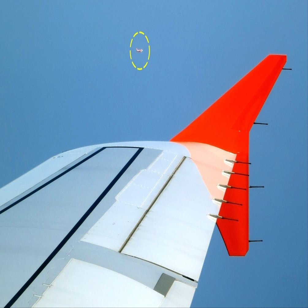 動く翼、変わる翼｜やぶ悟空