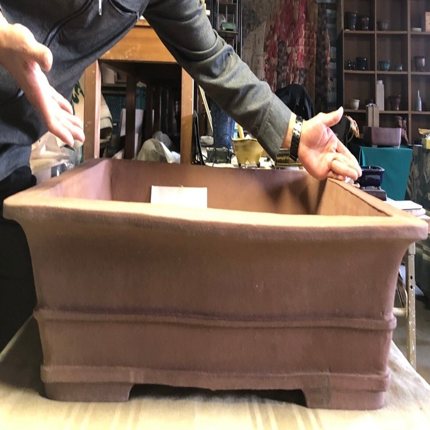 特注】常滑焼でつくる盆栽鉢が完成!!【パトロンNFT】｜盆栽マン