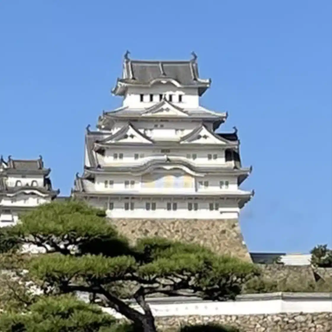 Hirotada Shirai