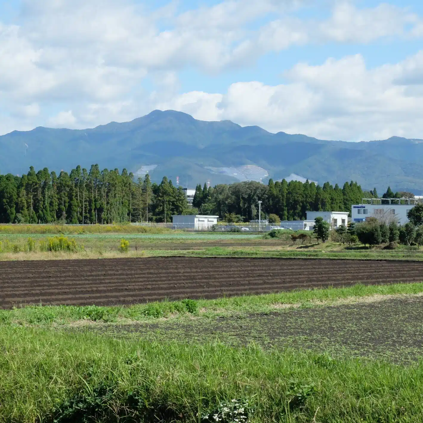 広範な国民連合・熊本情報