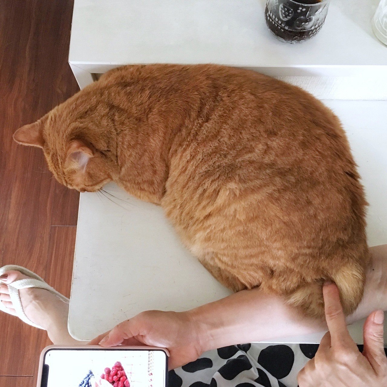 お尻でぽっかぽか Mizunote Note