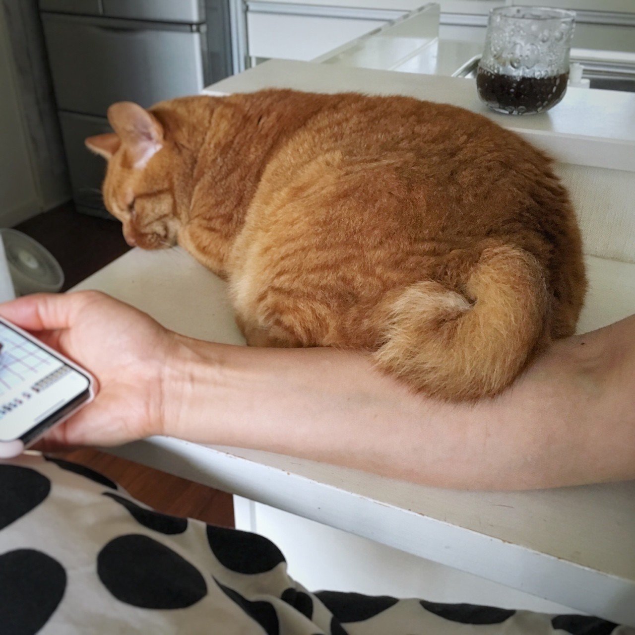 お尻でぽっかぽか Mizunote Note