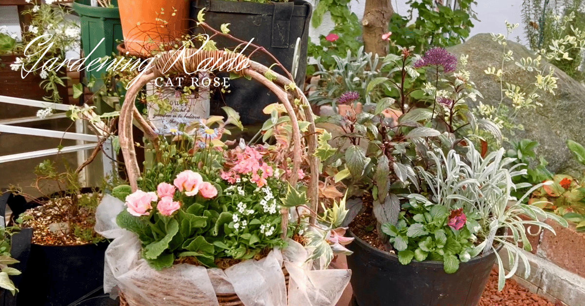 寄せ植え カラーリーフ 観葉植物 リース仕立て (スタンド付) 寄せ植え