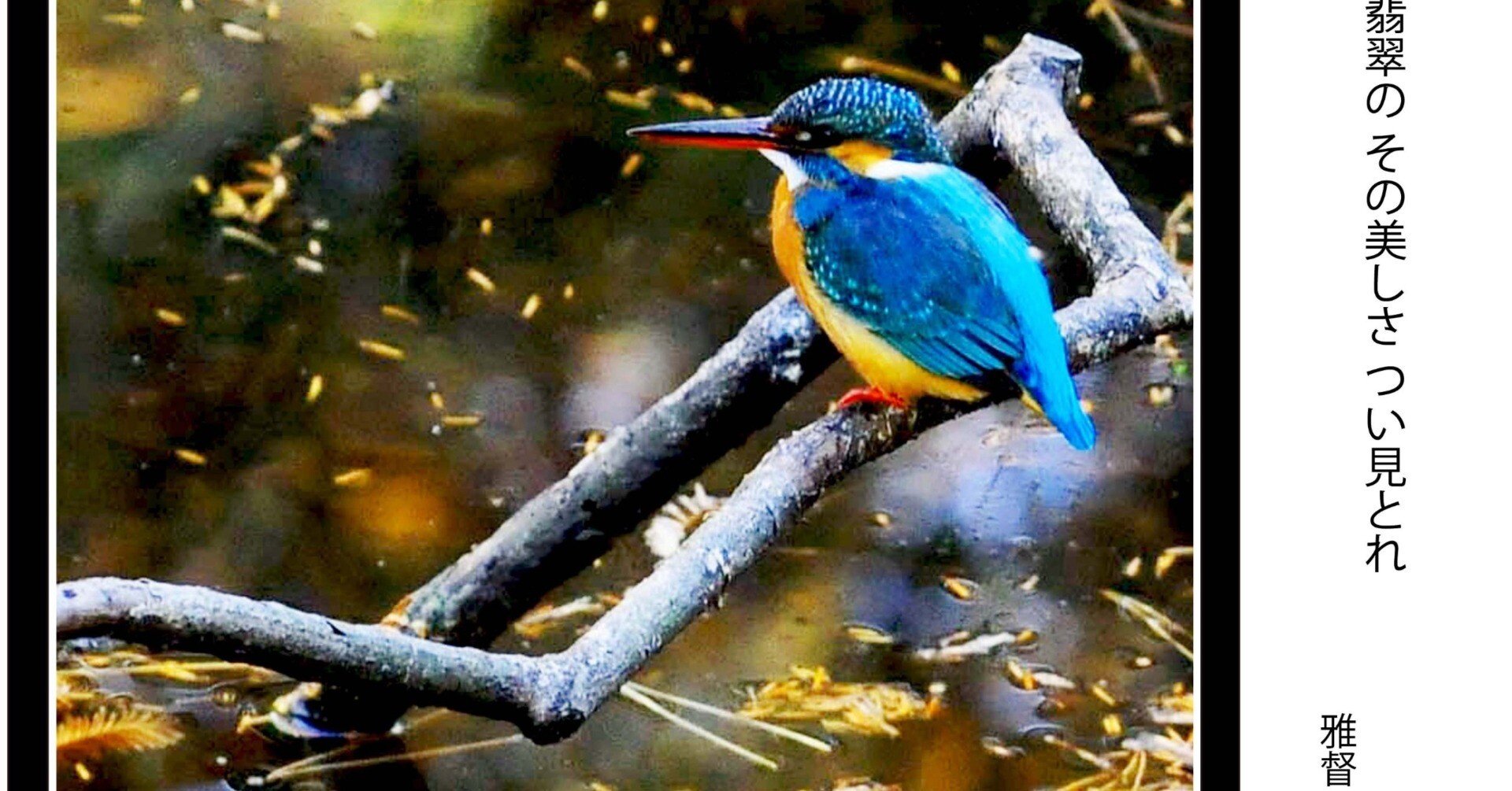 d51ec6903b6b78cc3943203ca65397