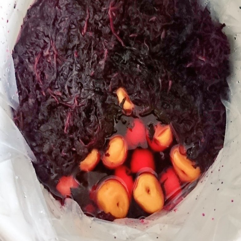 夏 6月 昔ながらの 梅干し 作り めがね Note