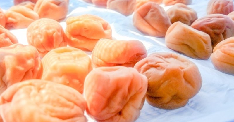 夏 6月 昔ながらの 梅干し 作り めがね Note