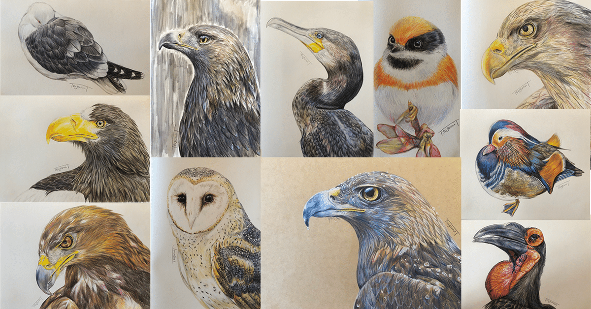 新年のご挨拶に代えて 鳥の絵を載せるだけの日 24｜橘鶫