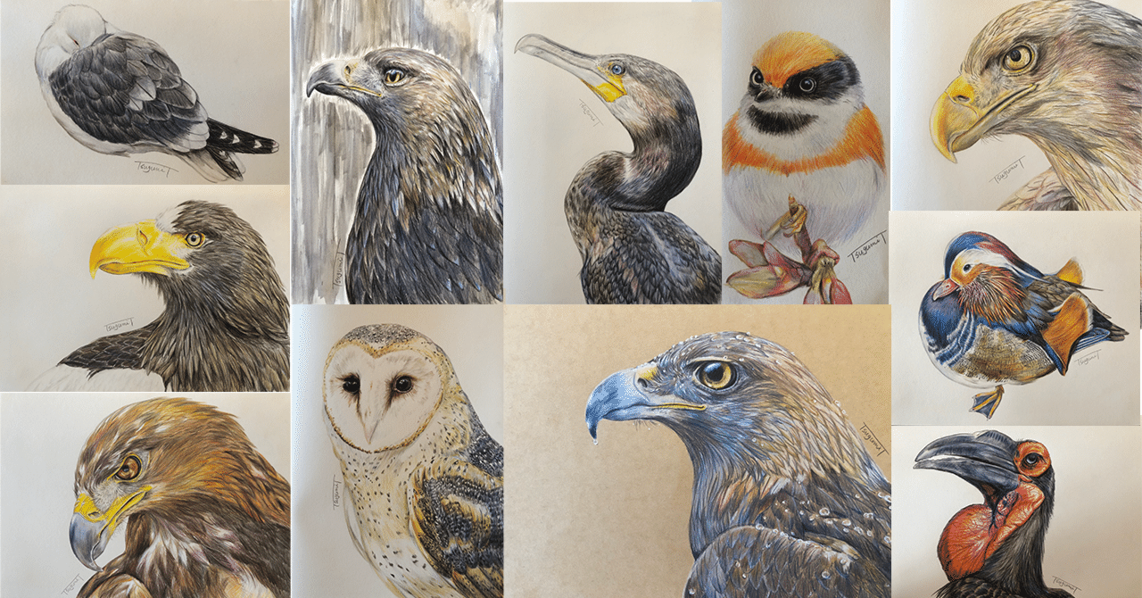 新年のご挨拶に代えて 鳥の絵を載せるだけの日 24｜橘鶫TachibanaTsugumi