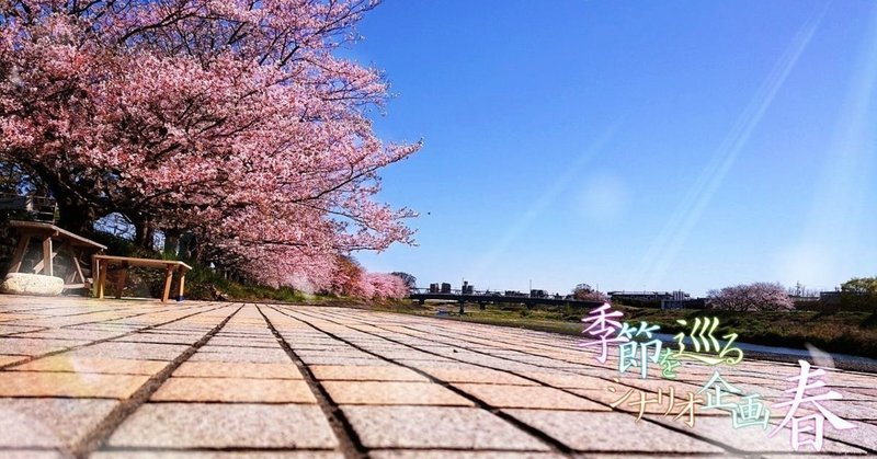 5月:とある猫の悠々散歩 wrote by @ChiiTaKap