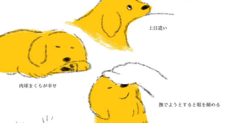 ゴールデンレトリバーのコラム ももろ Illustrator 絵本 Note