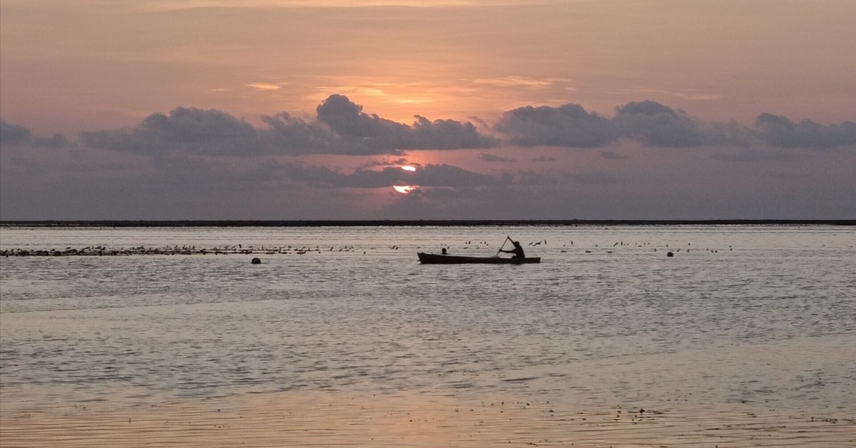 インドネシア ヌサトゥンガラ諸島 ロティ島の古いイカット 【公式通販】