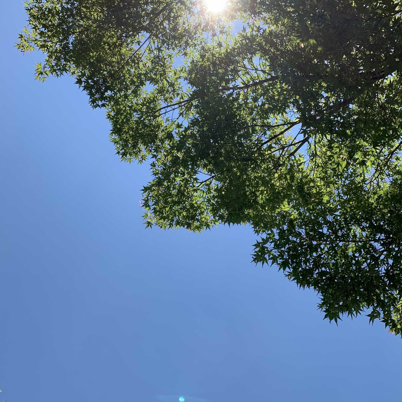 生まれたときから目が見えない人に 空の青さを伝えるとき何て言えばいいんだ こんな簡単なことさえ言葉に出来ない俺は芸人失格だよ 江頭2 50 くるみnote Note