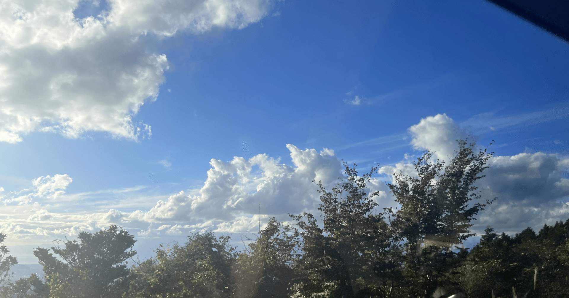 牧めぐみ 神奈川の取材ライター｜note