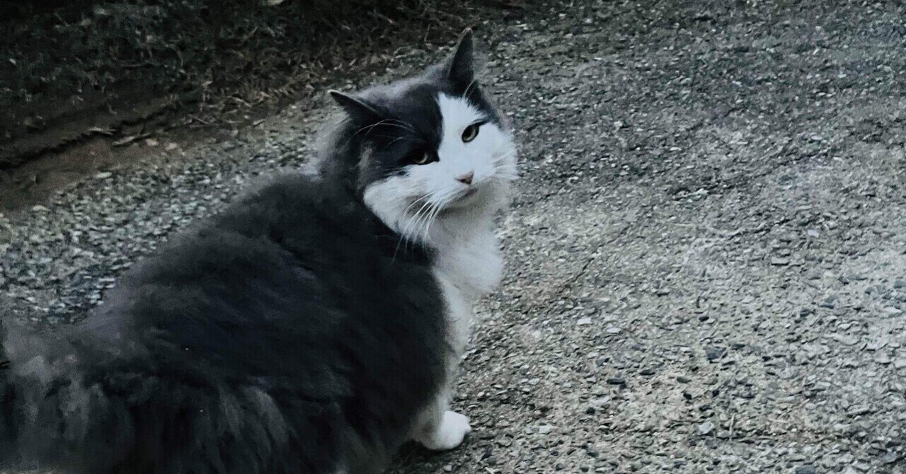 日記｜happy.happy.happy-black and pink