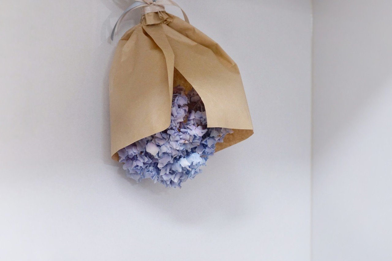 6月の紫陽花守り Shion Note