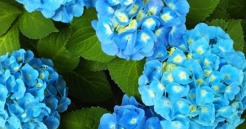 儲かる農家はこっそり知ってる農家の利益の作り方 アグリビジネスパートナー 高津佐和宏 Note