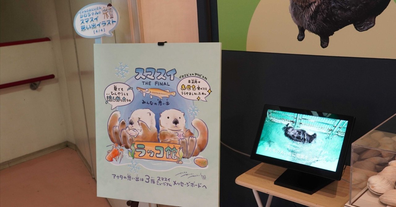 ラッコ 須磨海浜水族園 須磨水族館 おまけ付き 神戸市：須磨海浜水族園のラッコ