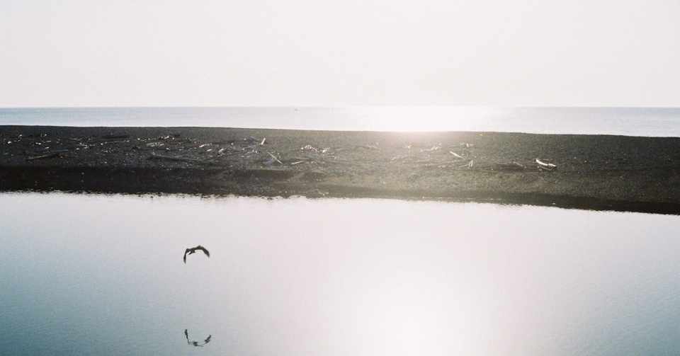 心をうつトヨタ社長のスピーチの仕方 アンバサダーラボ Amn