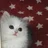 ゆうひ