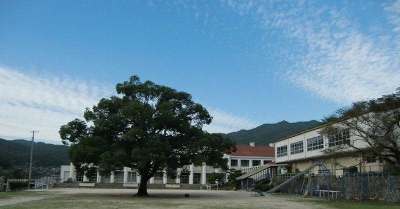 校庭の真ん中に立つ楠木