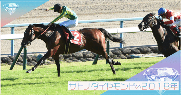【楽ギフ_包装】 競馬 サトノダイヤモンド｜東スポnote - コレクション