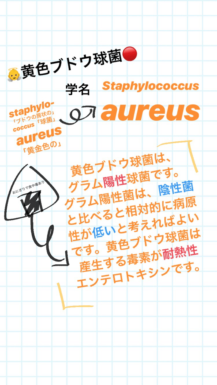 黄色ブドウ球菌とは 微生物学 みき Note