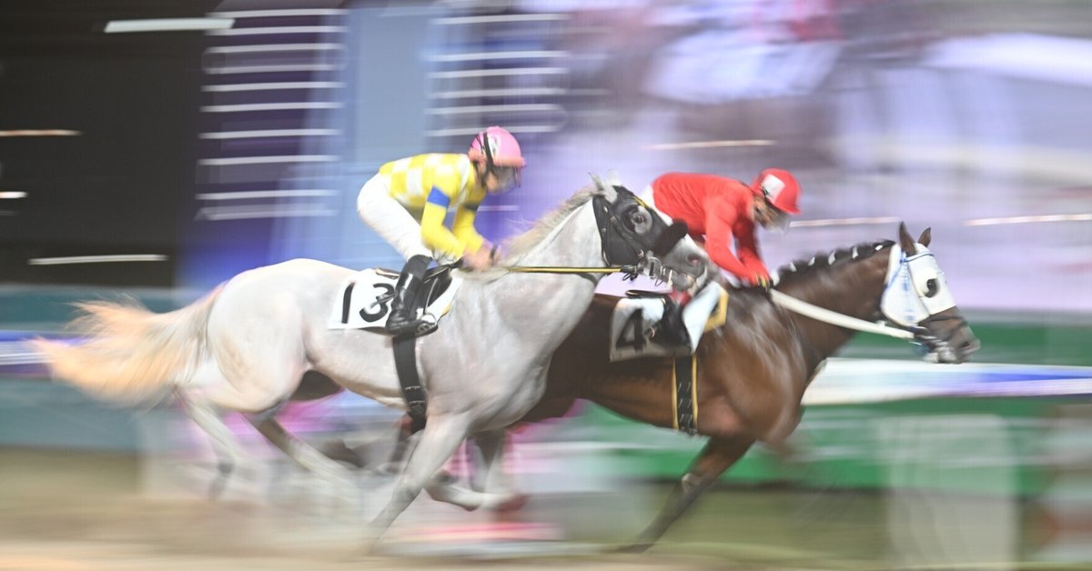 レースで実際に使用した競走馬ゼッケン19 ロング