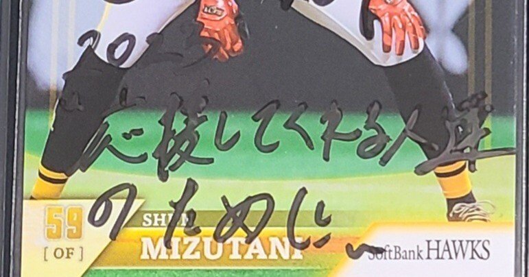 プロ野球選手 水谷瞬 支給品 エルボーガード プロ野球選手 水谷瞬 支給