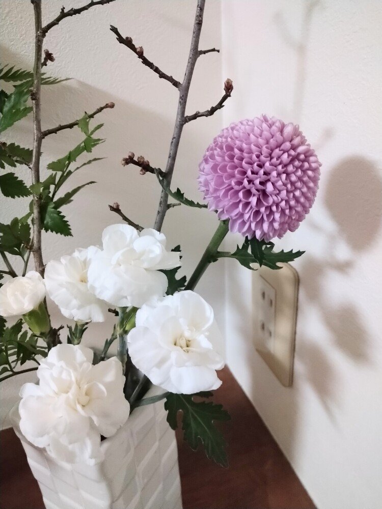 お正月のお花…ピンポンマムを白いカーネーションと合わせ…お花屋さんがすすめてくれた梅の花と合わせました。