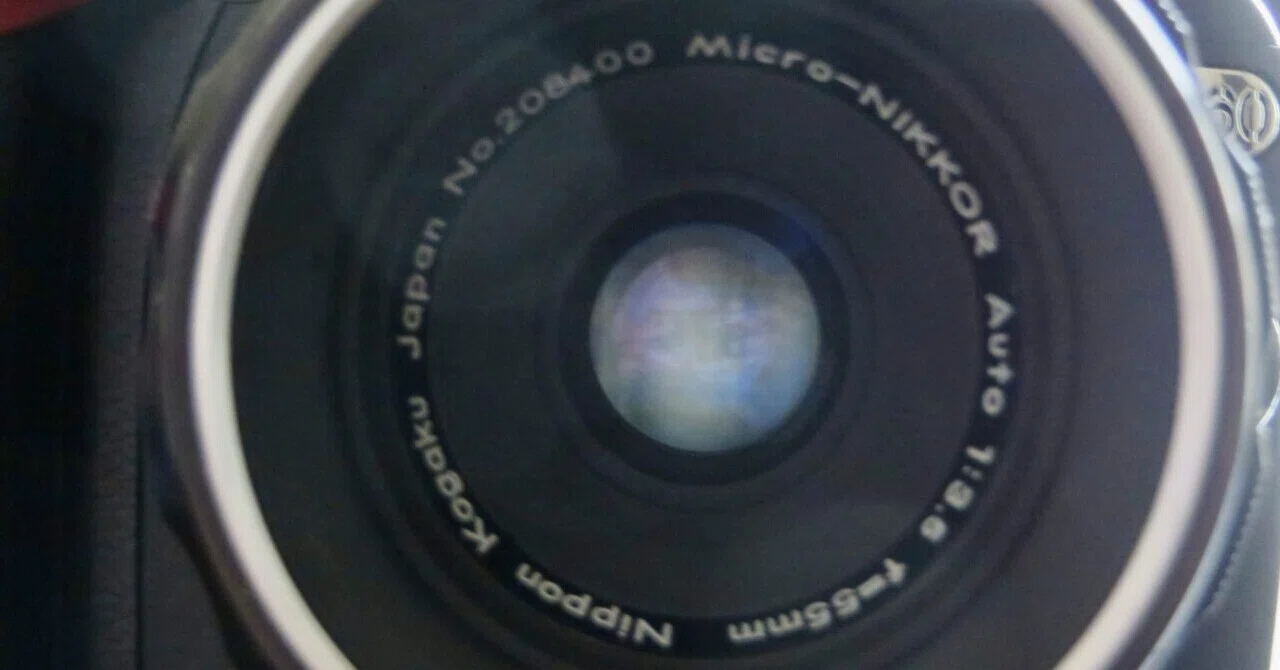 今年最後の買い物〜Micro Nikkor Auto 55mm F3.5|元田中マロ 今年最後の買い物〜Micro Nikkor Auto 55mm F3.5|元田中マロ