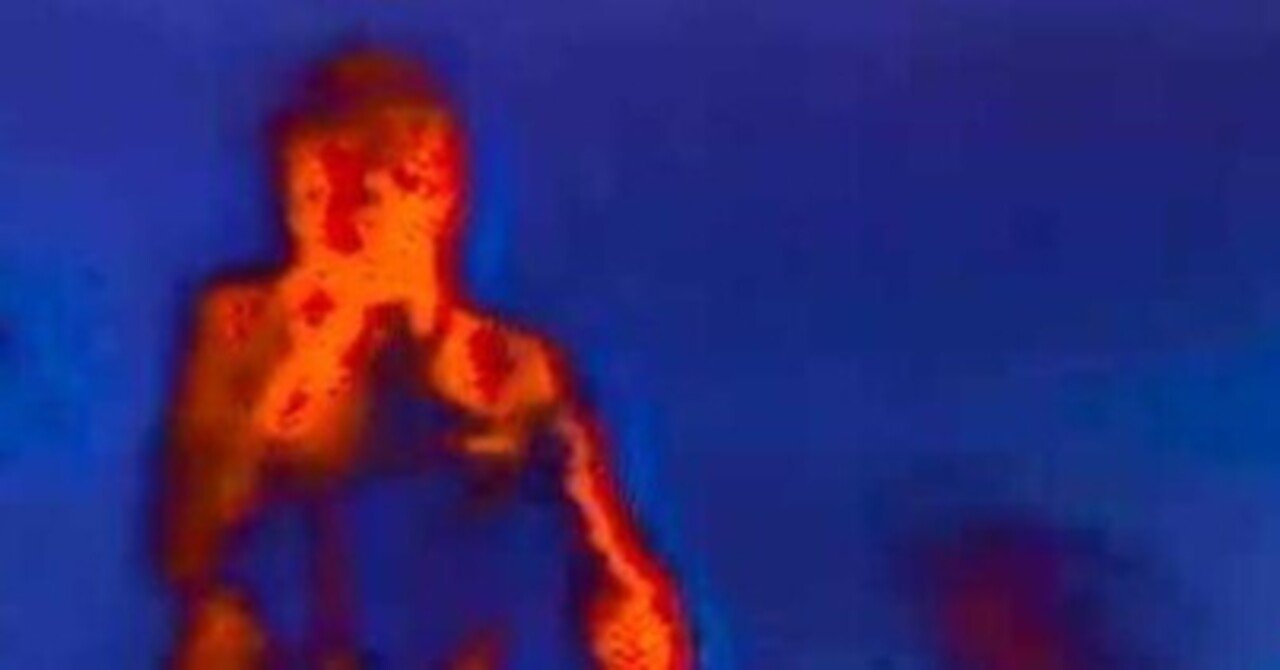 The Pop group /Mark Stewart レコード2枚組 LP Mark Stewart / S.T / US Original - レコード・ショップ