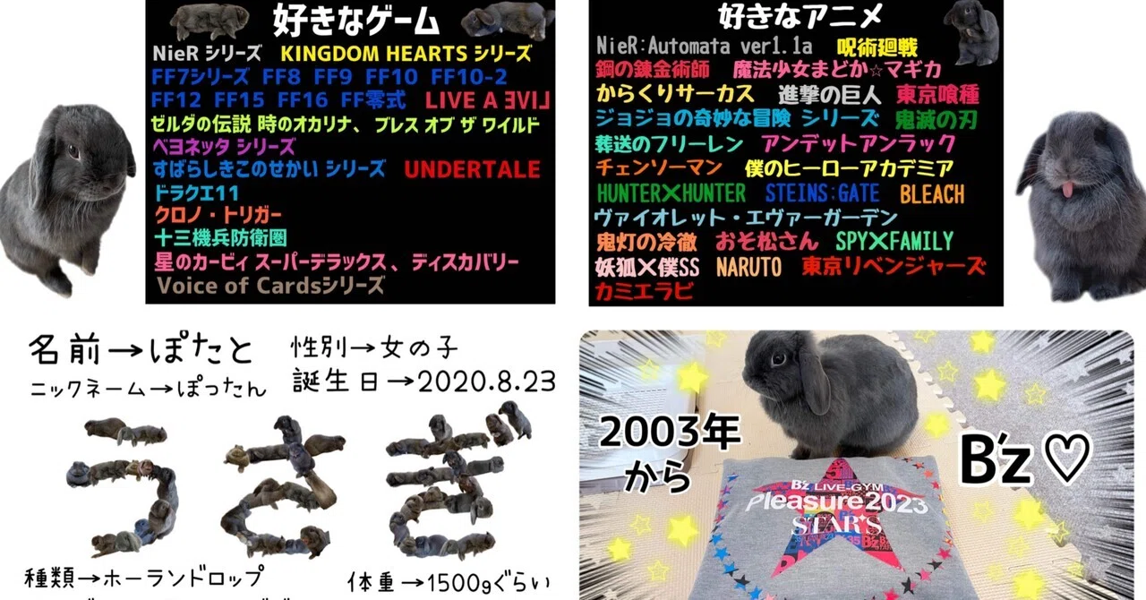 自己紹介＆うさぎ紹介2024｜げーらびーず