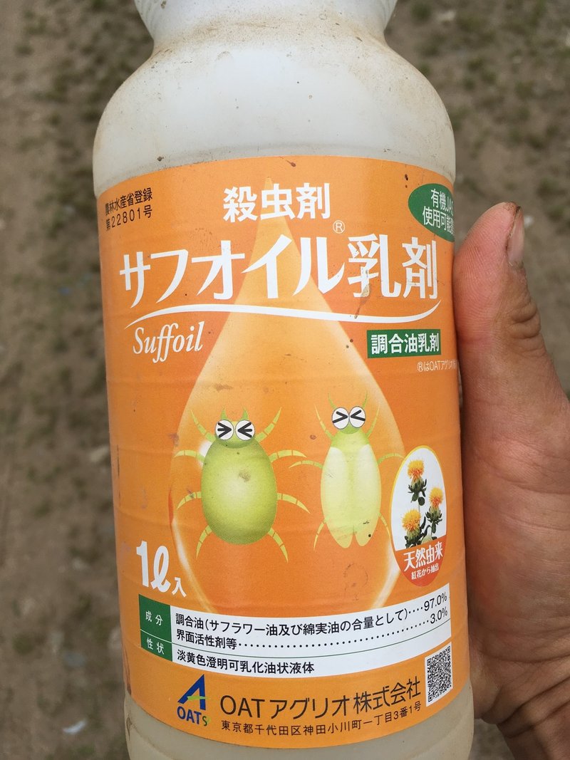 6月28日 梅雨空とナスの消毒 Marfee Note