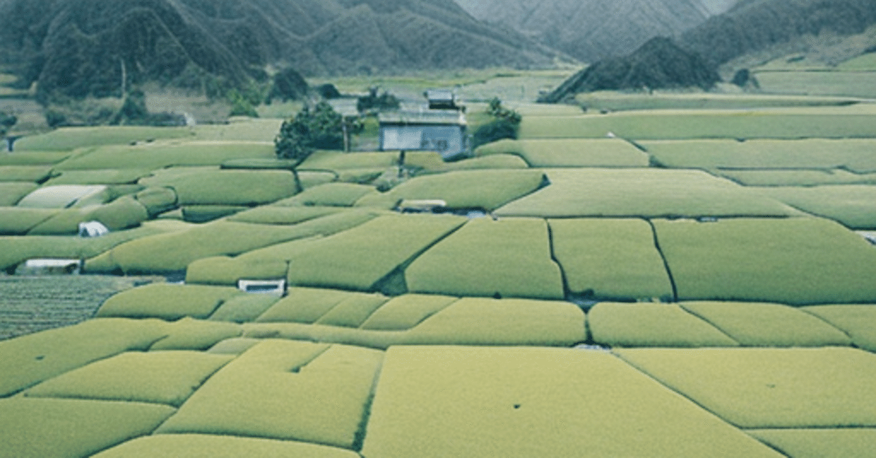 BLU/ZONE 2023/02/17/海/b