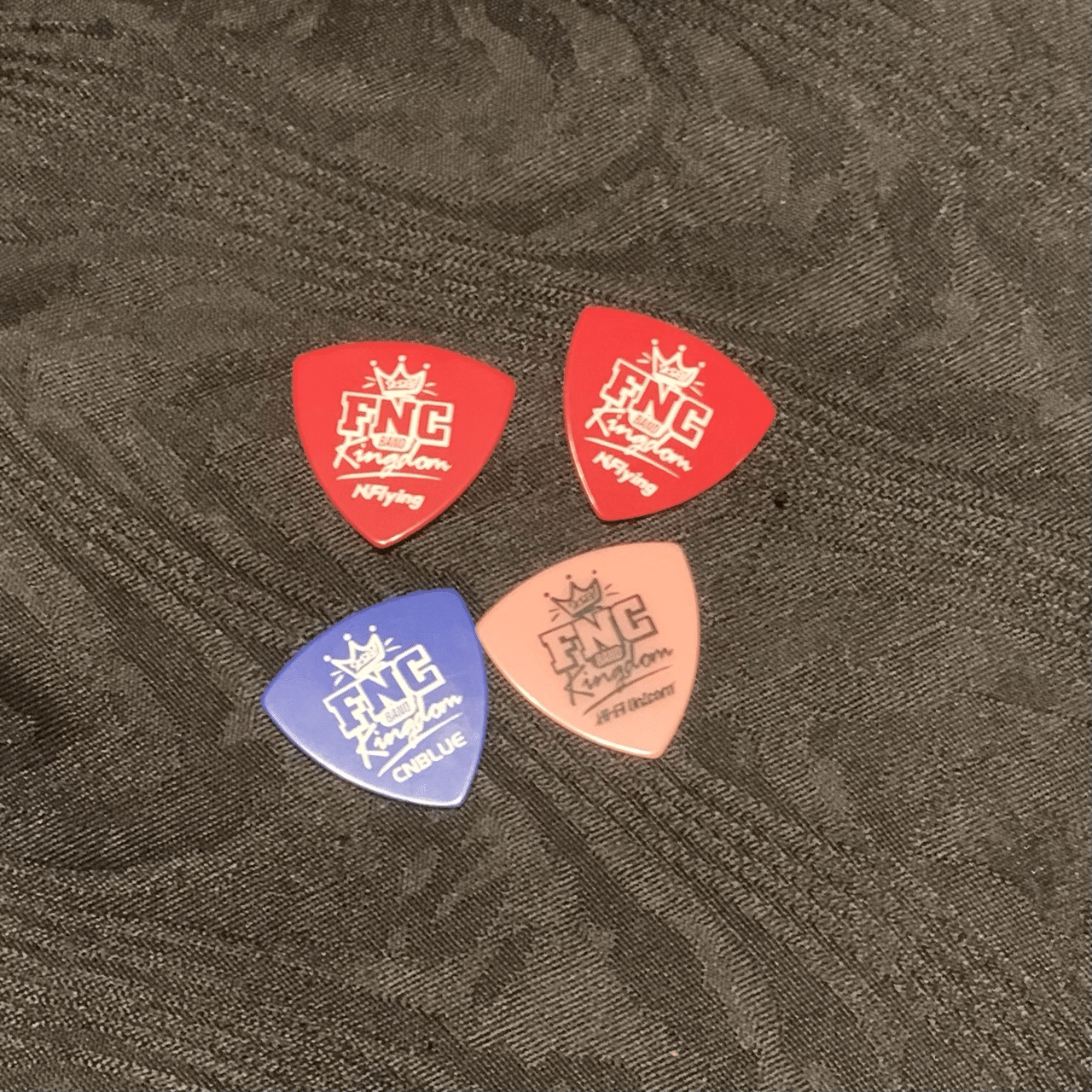 FNC BAND KINGDOM CNBLUE ピック