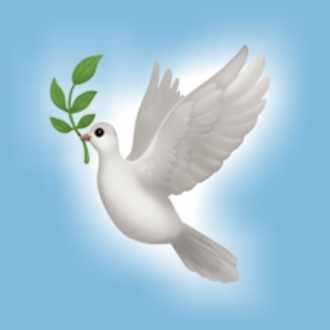 本当のあなたの人生が動き出す 聖なる予言 あなたの行くべき道 神の伝書鳩 Note