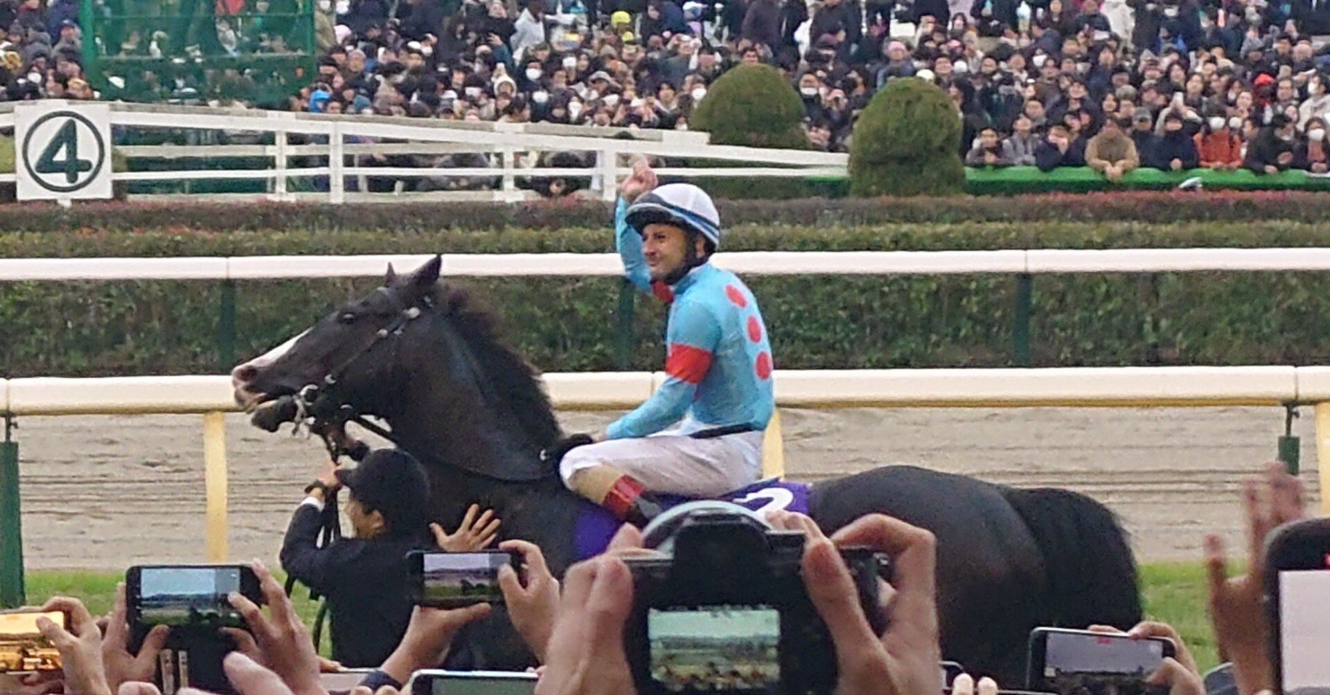 1年間「単勝」を買い続けた結果｜ただやす