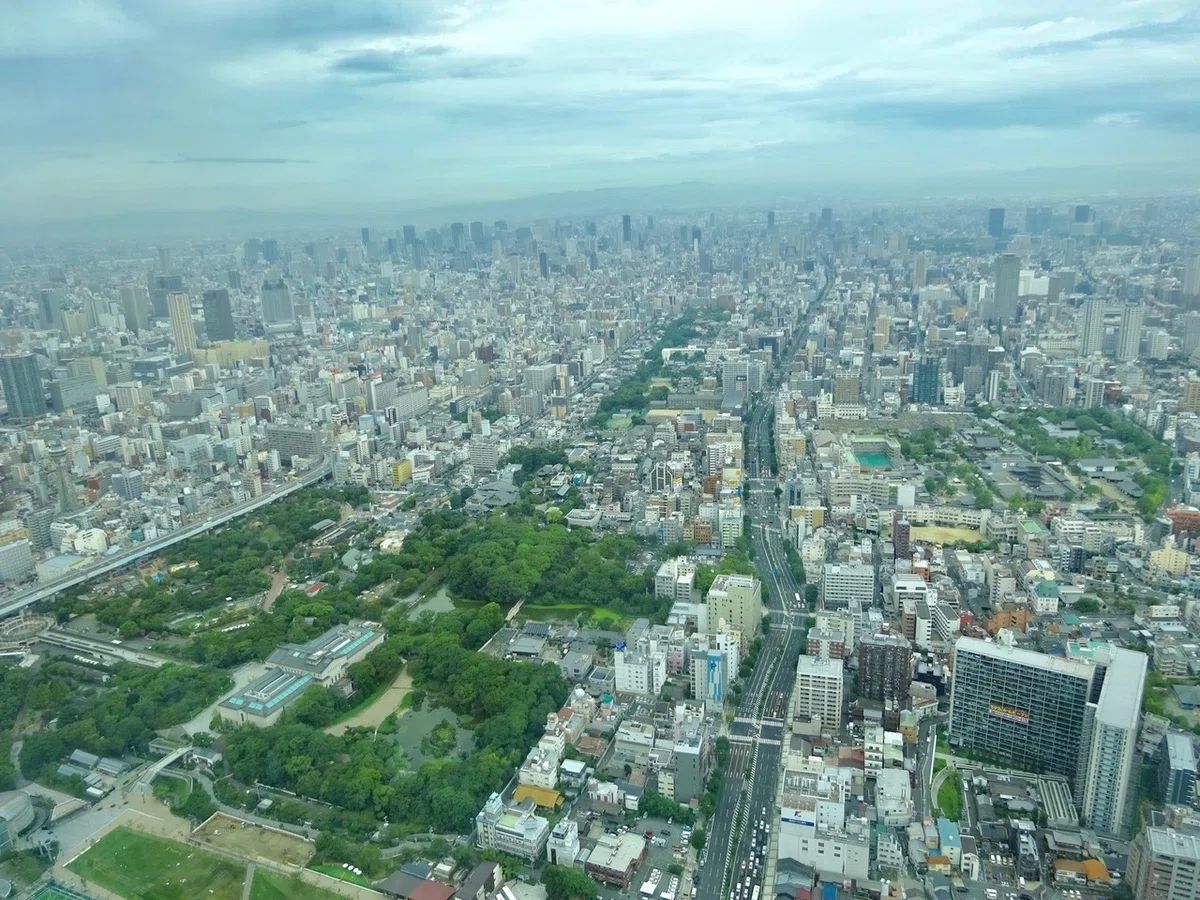 画像26